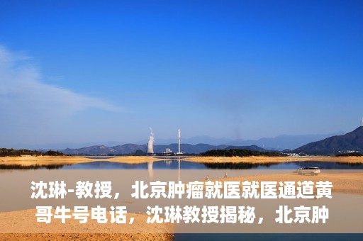 沈琳-教授，北京肿瘤就医就医通道黄哥牛号电话，沈琳教授揭秘，北京肿瘤就医通道牛号电话与就医攻略