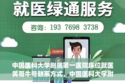 中国医科大学附属第一医院床位就医黄哥牛号联系方式，中国医科大学附属第一医院床位就医信息，黄哥牛号联系方式揭秘