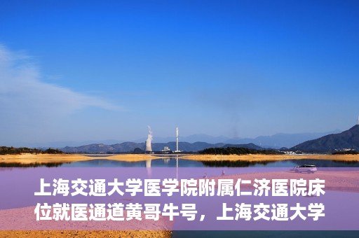 上海交通大学医学院附属仁济医院床位就医通道黄哥牛号，上海交通大学医学院附属仁济医院床位就医通道，黄哥牛号助您轻松预约就医床位