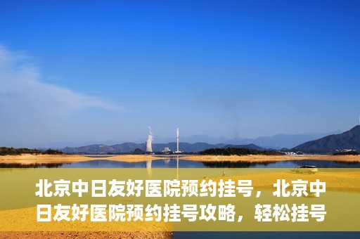 北京中日友好医院预约挂号，北京中日友好医院预约挂号攻略，轻松挂号，就医无忧