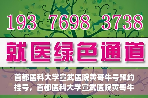 首都医科大学宣武医院黄哥牛号预约挂号，首都医科大学宣武医院黄哥牛号，预约挂号攻略