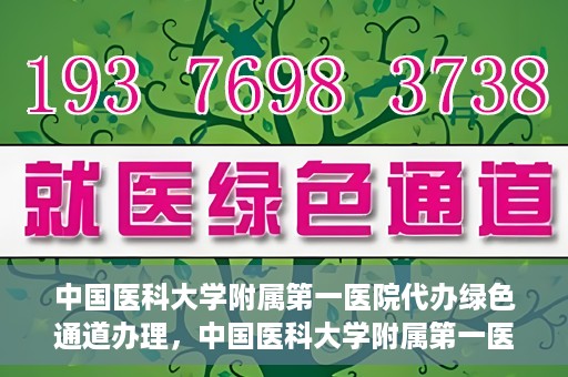 中国医科大学附属第一医院代办绿色通道办理，中国医科大学附属第一医院绿色通道代办服务详解