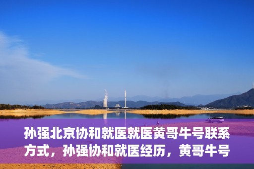孙强北京协和就医就医黄哥牛号联系方式，孙强协和就医经历，黄哥牛号联系方式揭秘
