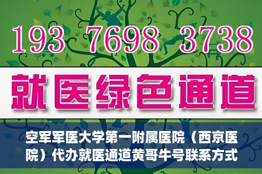 空军军医大学第一附属医院（西京医院）代办就医通道黄哥牛号联系方式，空军军医大学第一附属医院就医通道代办联系方式揭秘，黄哥牛号助您便捷就医