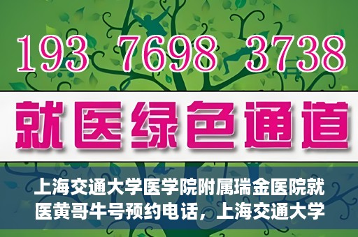 上海交通大学医学院附属瑞金医院就医黄哥牛号预约电话，上海交通大学医学院附属瑞金医院黄哥牛号预约电话详解，轻松就医新选择