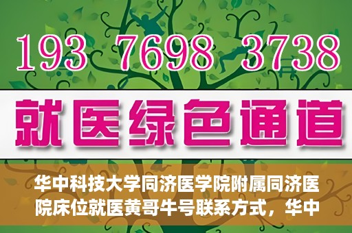 华中科技大学同济医学院附属同济医院床位就医黄哥牛号联系方式，华中科技大学同济医院床位就医信息及黄哥牛号联系方式揭秘