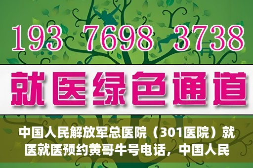 中国人民解放军总医院（301医院）就医就医预约黄哥牛号电话，中国人民解放军总医院（301医院）黄哥就医预约热线电话全攻略