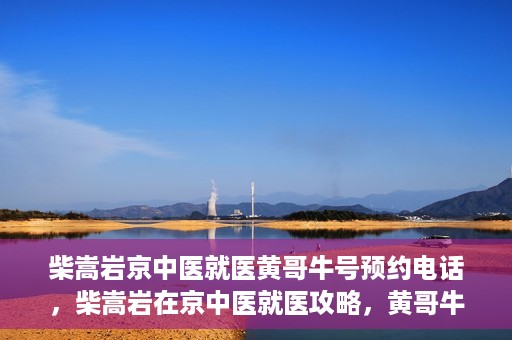 柴嵩岩京中医就医黄哥牛号预约电话，柴嵩岩在京中医就医攻略，黄哥牛号预约电话全解析