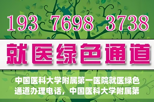 中国医科大学附属第一医院就医绿色通道办理电话，中国医科大学附属第一医院就医绿色通道服务热线及办理流程详解