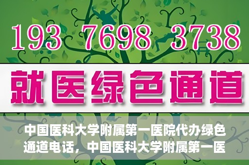 中国医科大学附属第一医院代办绿色通道电话，中国医科大学附属第一医院绿色通道代办服务热线揭秘
