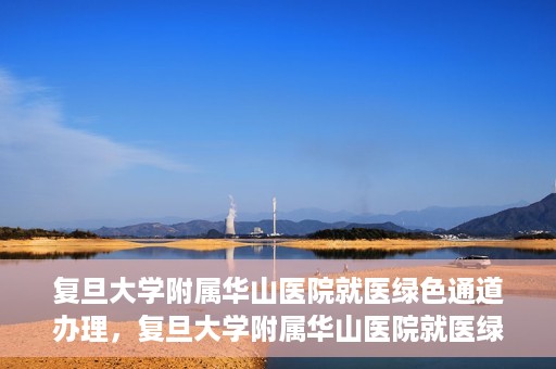 复旦大学附属华山医院就医绿色通道办理，复旦大学附属华山医院就医绿色通道办理详解与指南