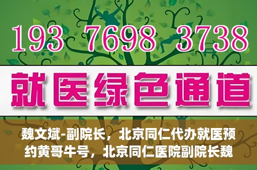 魏文斌-副院长，北京同仁代办就医预约黄哥牛号，北京同仁医院副院长魏文斌揭秘，黄哥牛号助您轻松预约就医新攻略
