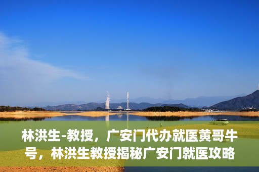 林洪生-教授，广安门代办就医黄哥牛号，林洪生教授揭秘广安门就医攻略，黄哥牛号助您便捷挂号就医