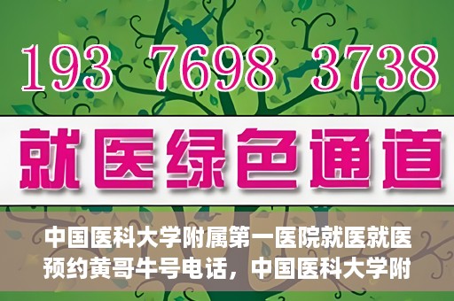 中国医科大学附属第一医院就医就医预约黄哥牛号电话，中国医科大学附属第一医院就医预约电话揭秘，黄哥牛号预约专线亮相