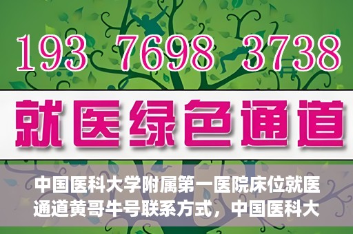 中国医科大学附属第一医院床位就医通道黄哥牛号联系方式，中国医科大学附属第一医院床位就医通道，黄哥牛号联系方式全解析