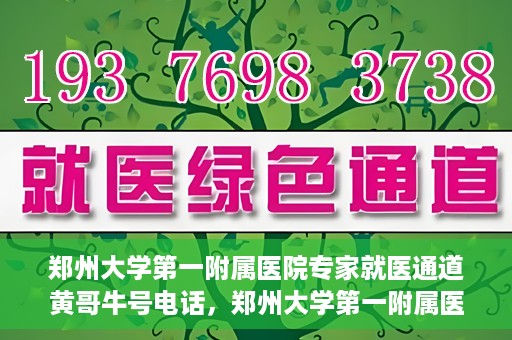 郑州大学第一附属医院专家就医通道黄哥牛号电话，郑州大学第一附属医院专家就医通道揭秘，黄哥牛号电话咨询全解析