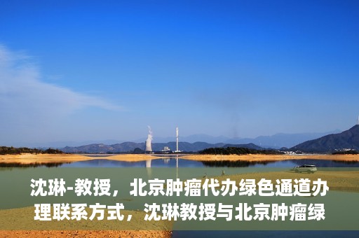 沈琳-教授，北京肿瘤代办绿色通道办理联系方式，沈琳教授与北京肿瘤绿色通道，便捷办理联系方式揭秘