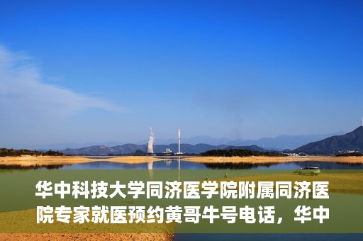 华中科技大学同济医学院附属同济医院专家就医预约黄哥牛号电话，华中科技大学同济医院专家黄哥牛号预约电话与就医指南