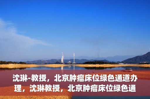 沈琳-教授，北京肿瘤床位绿色通道办理，沈琳教授，北京肿瘤床位绿色通道办理解析