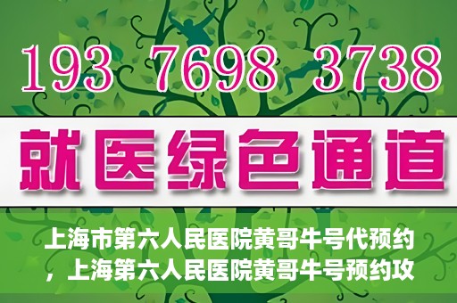 上海市第六人民医院黄哥牛号代预约，上海第六人民医院黄哥牛号预约攻略，轻松解决挂号难题