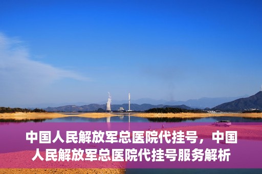 中国人民解放军总医院代挂号，中国人民解放军总医院代挂号服务解析