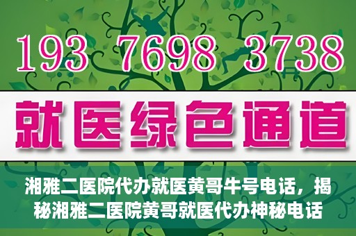 湘雅二医院代办就医黄哥牛号电话，揭秘湘雅二医院黄哥就医代办神秘电话背后的故事
