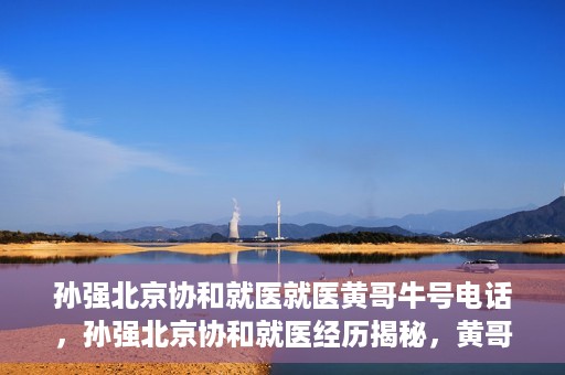 孙强北京协和就医就医黄哥牛号电话，孙强北京协和就医经历揭秘，黄哥牛号背后的电话故事