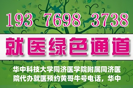 华中科技大学同济医学院附属同济医院代办就医预约黄哥牛号电话，华中科技大学同济医院预约就医黄哥牛号电话代办服务介绍