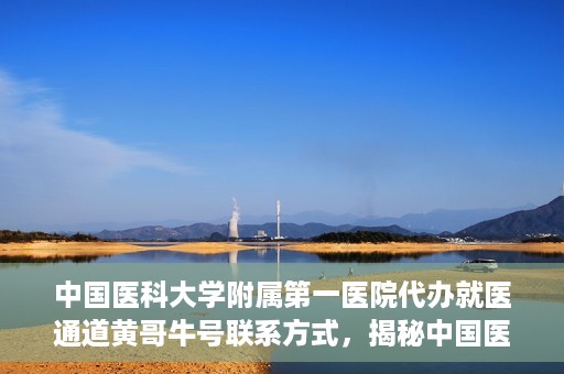 中国医科大学附属第一医院代办就医通道黄哥牛号联系方式，揭秘中国医科大学附属第一医院就医代办通道，黄哥牛号联系方式及更多信息解读