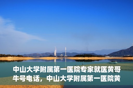 中山大学附属第一医院专家就医黄哥牛号电话，中山大学附属第一医院黄哥牛号专家就医电话揭秘