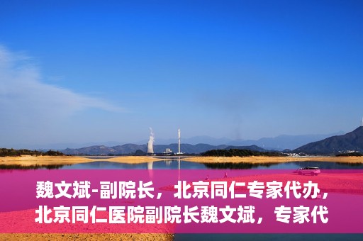 魏文斌-副院长，北京同仁专家代办，北京同仁医院副院长魏文斌，专家代办背后的故事