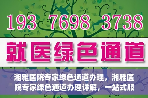 湘雅医院专家绿色通道办理，湘雅医院专家绿色通道办理详解，一站式服务助力高效就医体验