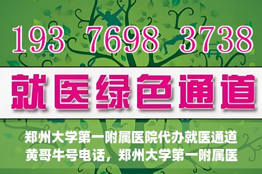 郑州大学第一附属医院代办就医通道黄哥牛号电话，郑州大学第一附属医院就医通道代办服务黄哥牛号联系电话揭秘