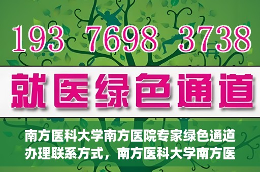 南方医科大学南方医院专家绿色通道办理联系方式，南方医科大学南方医院专家绿色通道联系指南，一键获取办理联系方式