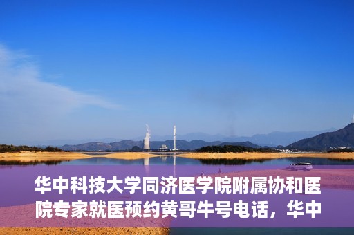 华中科技大学同济医学院附属协和医院专家就医预约黄哥牛号电话，华中科技大学同济医学院附属协和医院专家预约挂号攻略，黄哥牛号电话就医预约指南