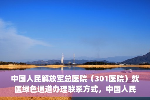 中国人民解放军总医院（301医院）就医绿色通道办理联系方式，中国人民解放军总医院就医绿色通道办理指南，快速联系与申请流程揭秘