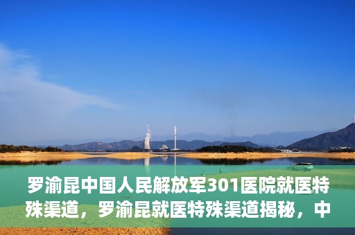 罗渝昆中国人民解放军301医院就医特殊渠道，罗渝昆就医特殊渠道揭秘，中国人民解放军301医院的医疗力量与特殊渠道就医体验