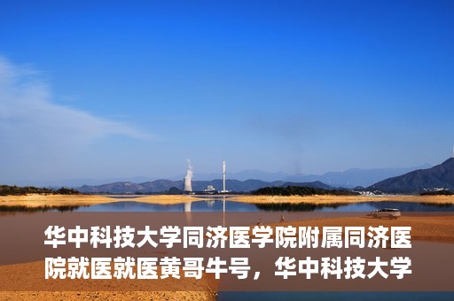 华中科技大学同济医学院附属同济医院就医就医黄哥牛号，华中科技大学同济医院就医体验分享，黄哥牛号就医之旅