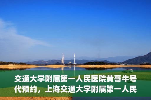 交通大学附属第一人民医院黄哥牛号代预约，上海交通大学附属第一人民医院黄哥预约挂号攻略，便捷预约，轻松就医