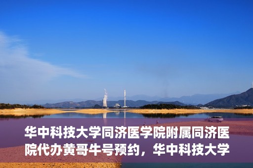 华中科技大学同济医学院附属同济医院代办黄哥牛号预约，华中科技大学同济医院黄哥牛号预约代办服务解析