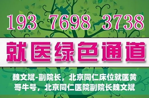 魏文斌-副院长，北京同仁床位就医黄哥牛号，北京同仁医院副院长魏文斌揭秘床位就医黄哥牛号背后的故事