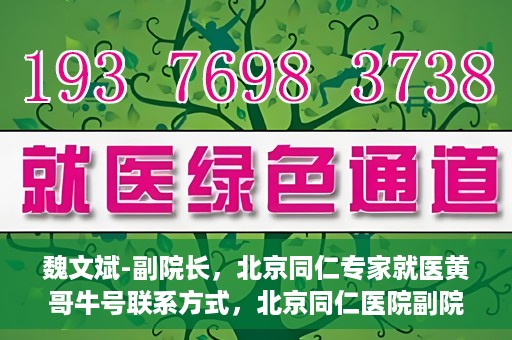 魏文斌-副院长，北京同仁专家就医黄哥牛号联系方式，北京同仁医院副院长魏文斌，黄哥牛号就医联系指南与专家联系方式揭秘