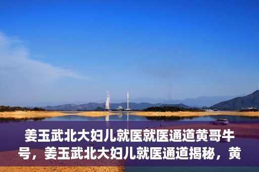 姜玉武北大妇儿就医就医通道黄哥牛号，姜玉武北大妇儿就医通道揭秘，黄哥牛号引领就医新体验