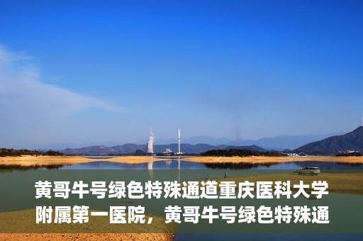 黄哥牛号绿色特殊通道重庆医科大学附属第一医院，黄哥牛号绿色特殊通道，重庆医科大学附属第一医院实践探索