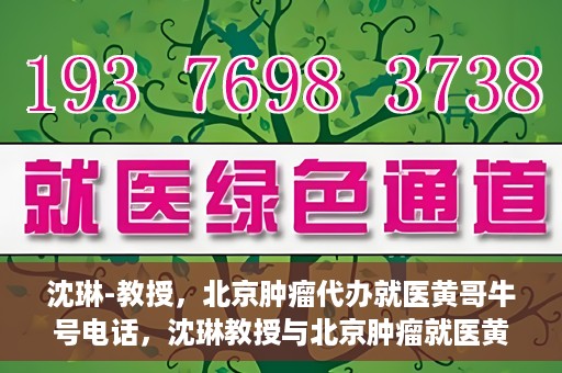 沈琳-教授，北京肿瘤代办就医黄哥牛号电话，沈琳教授与北京肿瘤就医黄哥热线，权威解读牛号电话背后的故事