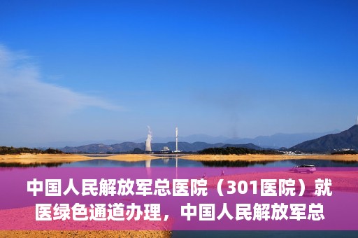 中国人民解放军总医院（301医院）就医绿色通道办理，中国人民解放军总医院就医绿色通道办理详解