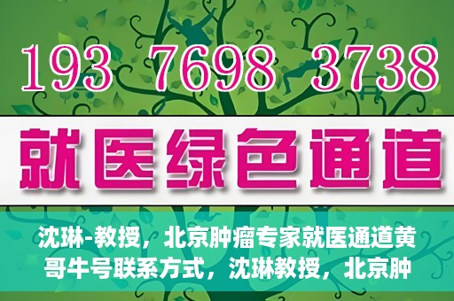 沈琳-教授，北京肿瘤专家就医通道黄哥牛号联系方式，沈琳教授，北京肿瘤专家就医通道揭秘，黄哥牛号联系方式一览无余