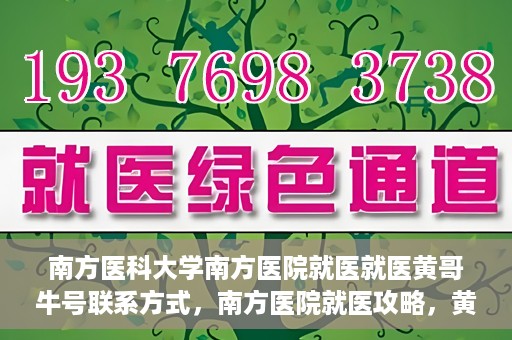 南方医科大学南方医院就医就医黄哥牛号联系方式，南方医院就医攻略，黄哥牛号联系方式揭秘