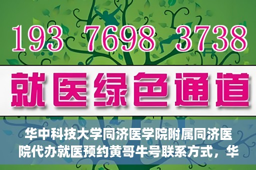 华中科技大学同济医学院附属同济医院代办就医预约黄哥牛号联系方式，华中科技大学同济医院预约就医预约黄哥联系方式及牛号代办服务指南