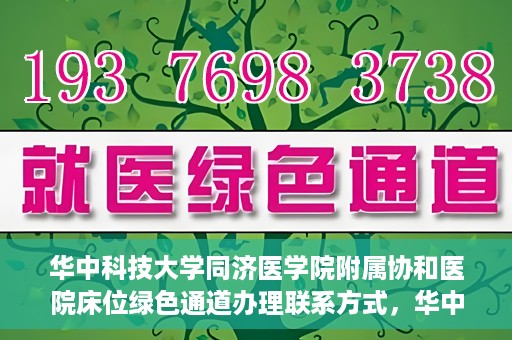 华中科技大学同济医学院附属协和医院床位绿色通道办理联系方式，华中科技大学同济医学院附属协和医院床位绿色通道咨询及联系方式详解